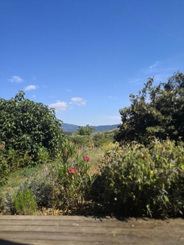 Villa Spacieuse Avec Terrasse Et Vue Mont Ventoux Entrechaux Zewnętrze zdjęcie