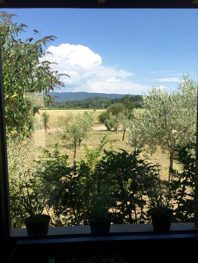 Villa Spacieuse Avec Terrasse Et Vue Mont Ventoux Entrechaux Zewnętrze zdjęcie