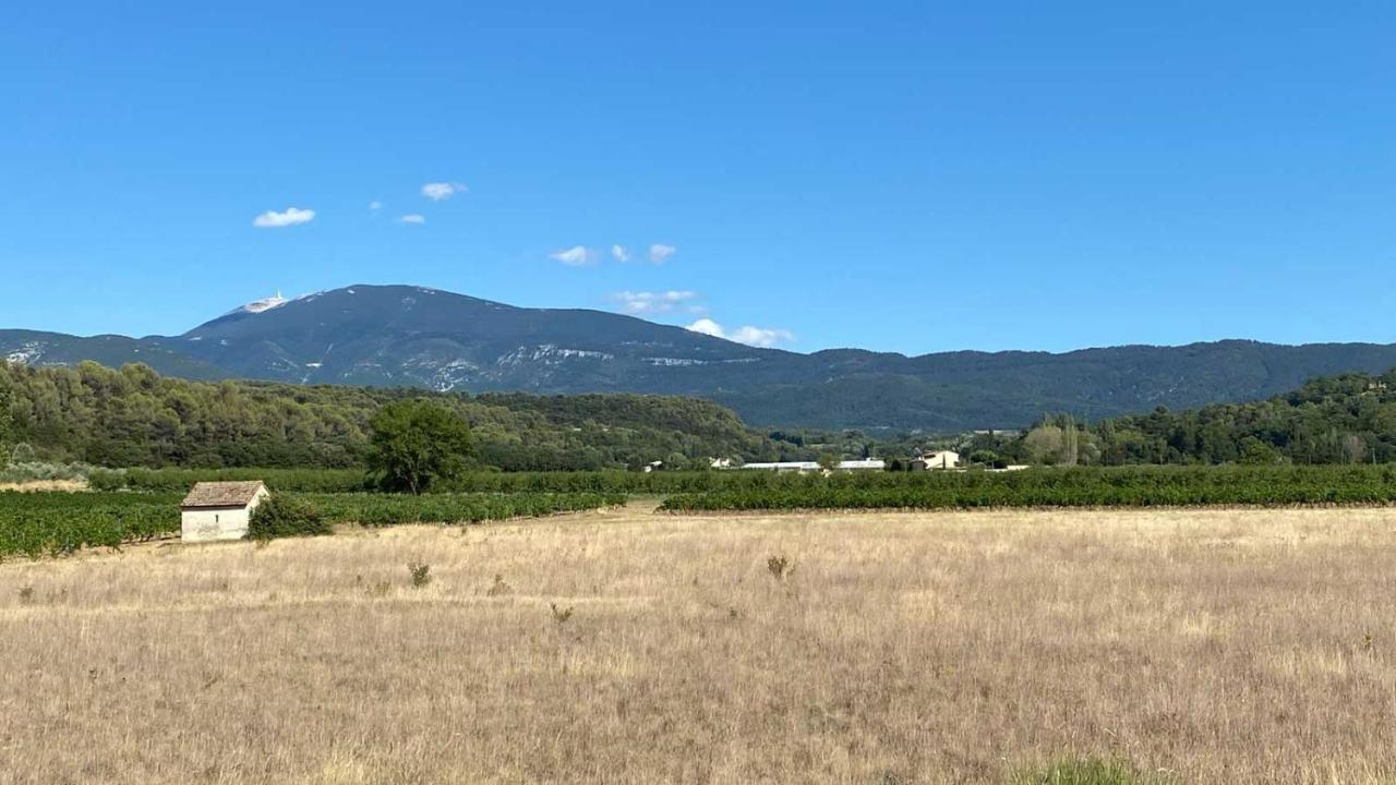 Villa Spacieuse Avec Terrasse Et Vue Mont Ventoux Entrechaux Zewnętrze zdjęcie